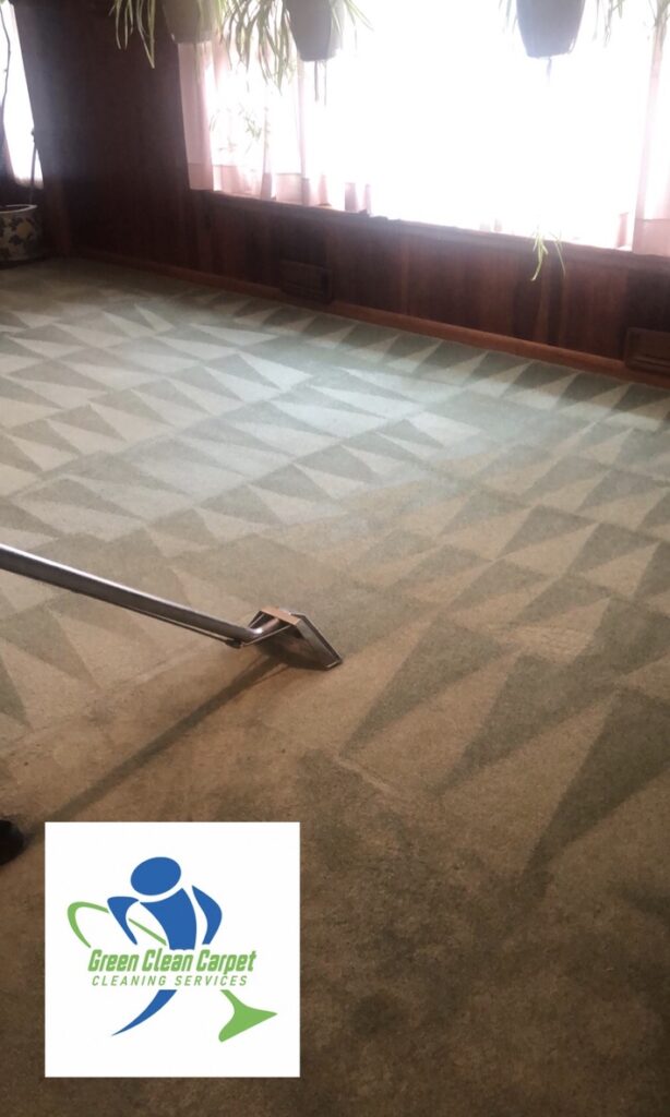 Carpet Cleaning Bala Cynwyd PA